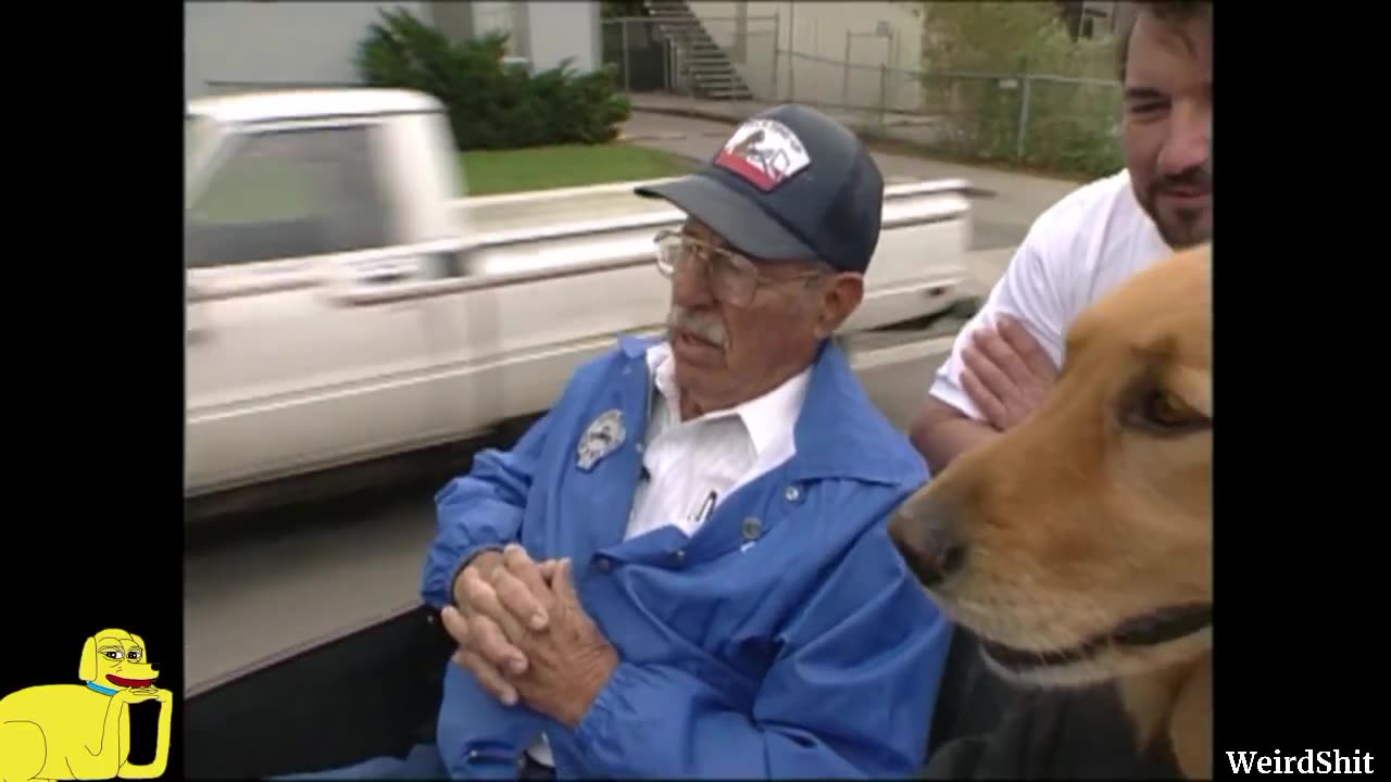 Dog Drives 🤯Human Friends To The Casino