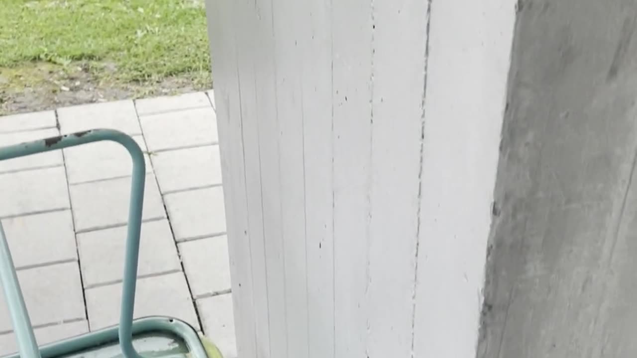 Freedom Cash Geocaching Paper Wallet -