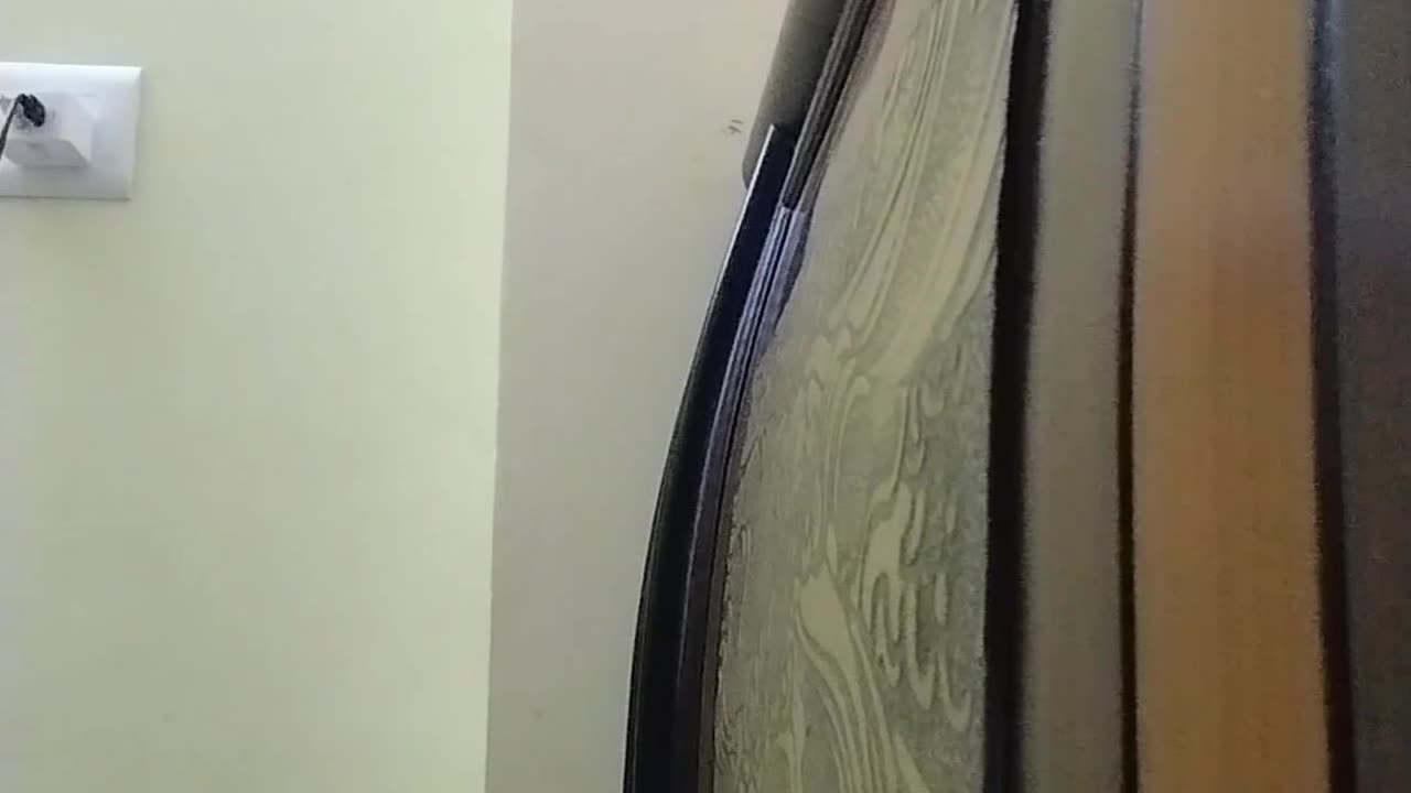 How the mind get panic