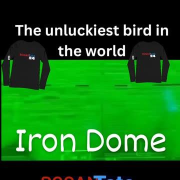 Unlucky as bird in the world target misrael palestine hamas iran