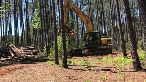 Clearing the Lot