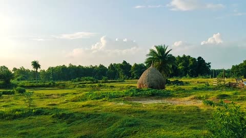 village nature beauty and nature creature nice sound