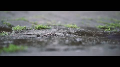 Memory | Short Video