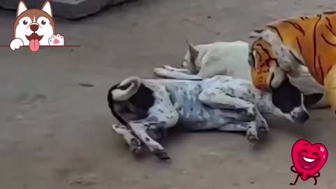 prank dog vs fake tiger | prank dog with tiger