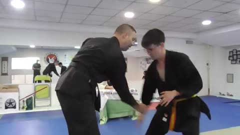 Hapkido