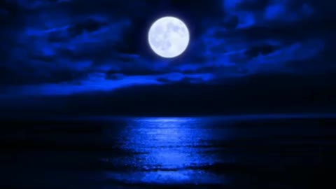 beethoven _ moonlight 🎶