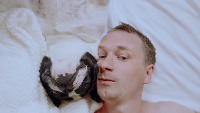 this dog spends a pleasant time with his handler