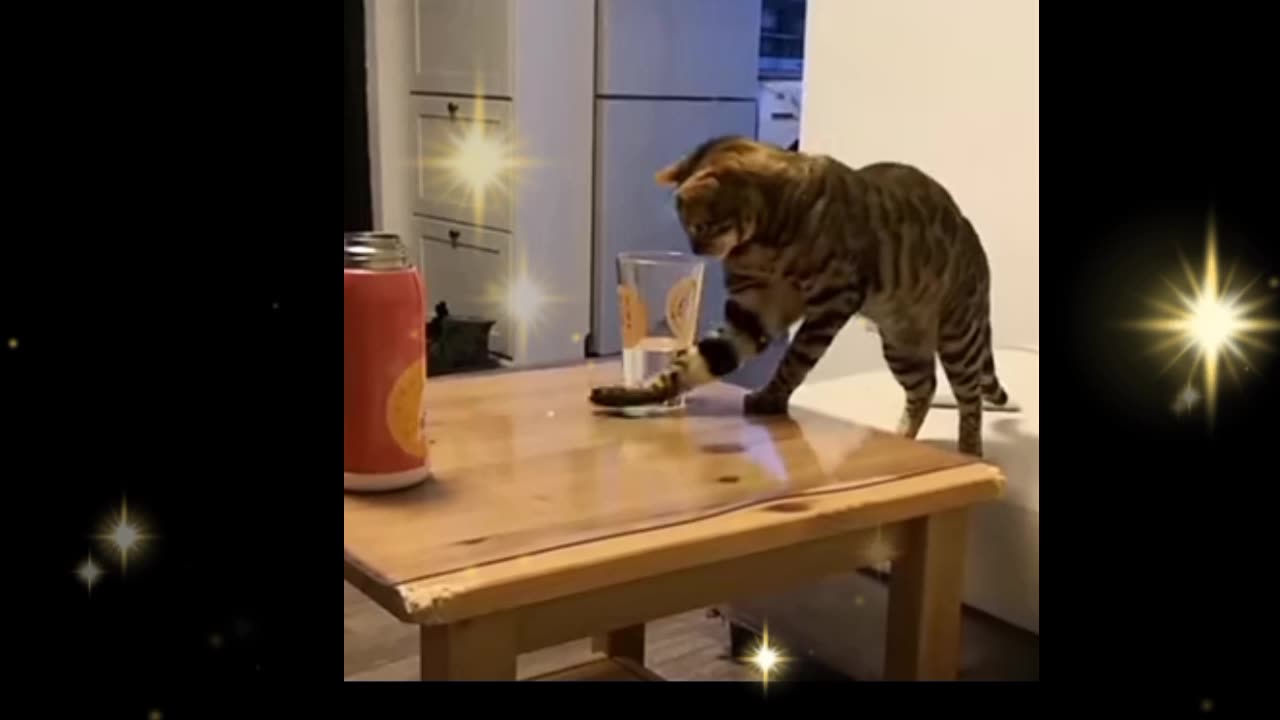 "Hilarious Cats Caught in the Act! 😂 | Try Not to Laugh at These Funny Cat Moments!"*