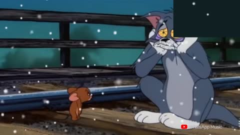 Tom and Jery both got heart-broken 💔