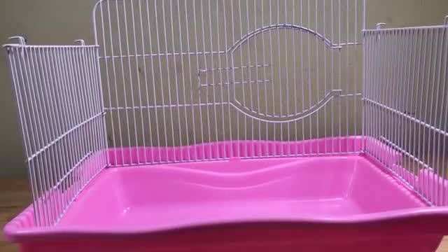 Build a house for hamsters | Cute Pet Hamster