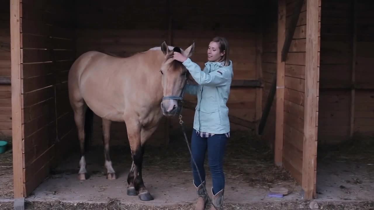 A beautiful female rider stands near a well-groomed horse, stokes it, and talks to it