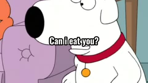 WTF Peter