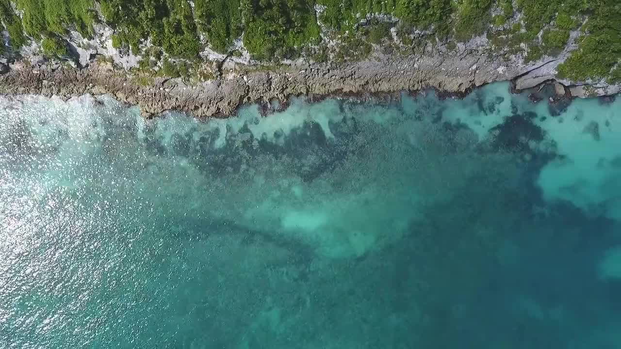 Beach Tranquil