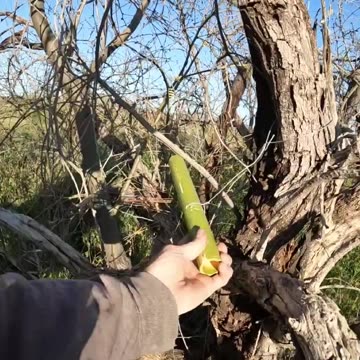 What the Tip&sign Geocache is this?