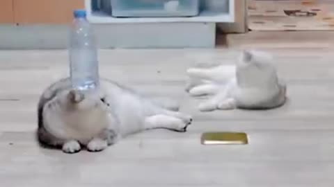 Look to the end and you will be surprised