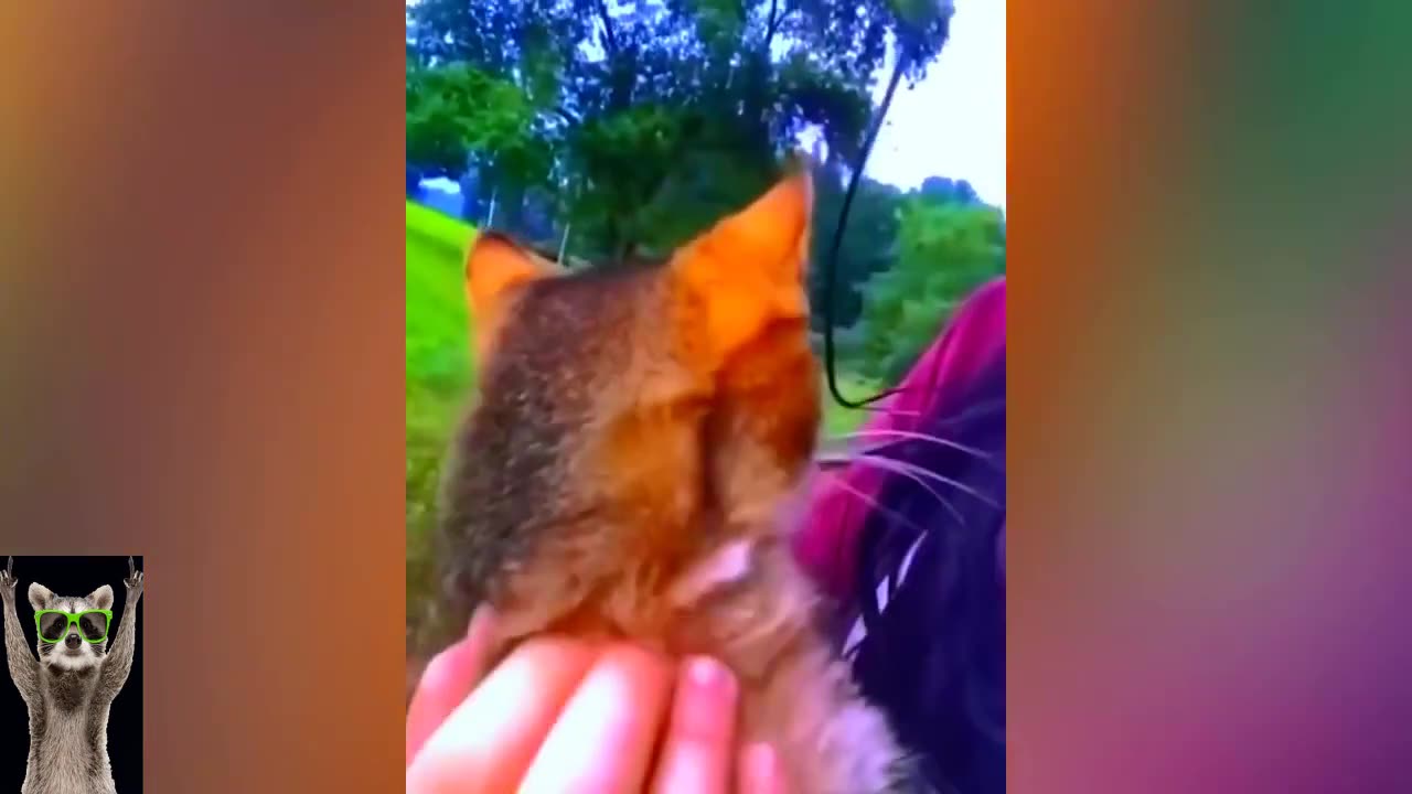 Animal latest funny video 😅|| #funny