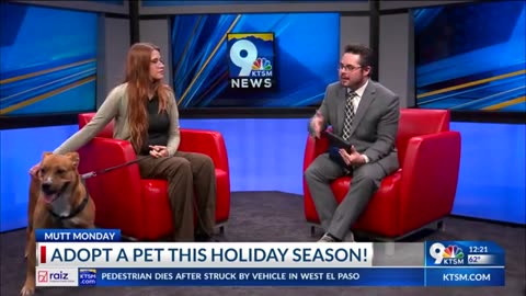 Mutt Monday - Adopt a pet this holiday season