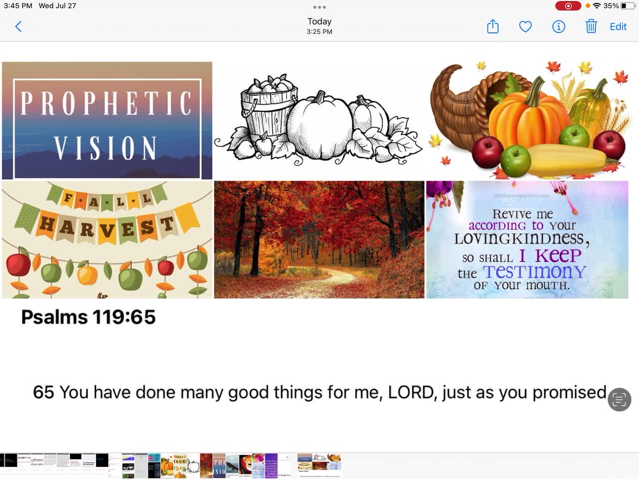 🍁🍂Fall Prophetic Word&Vision