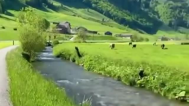 Beautiful nature video