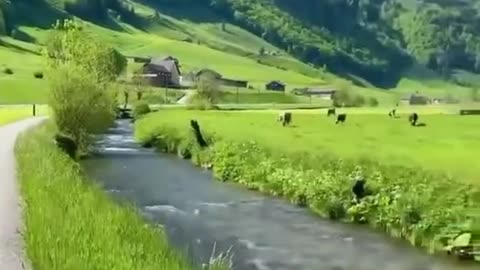 Beautiful nature video