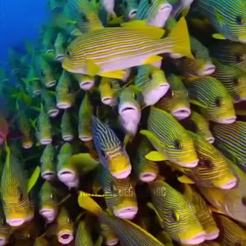 What an Amazing World We Have ❤️