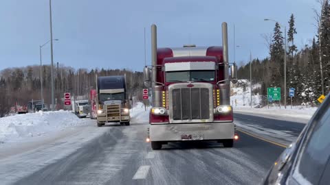 Freedom Convoy Tribute (Man In The Mirror)