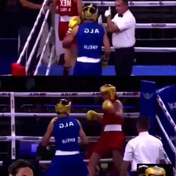 Biological woman gets toasted by a tranny at macron's olympics...