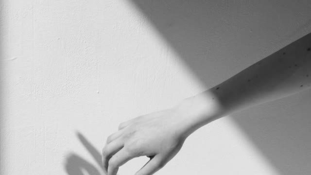 HANDS