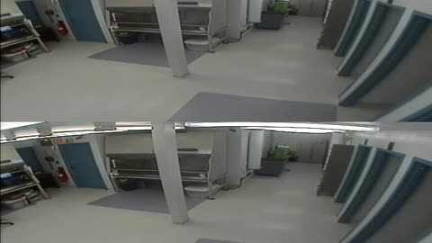 1702CRIB01CribAnalysisArea_2021-01-06_19h40min03s307ms.mp4