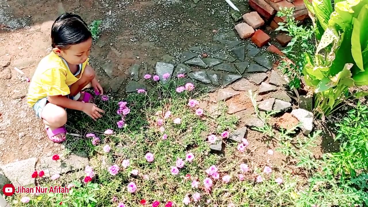 Beautiful garden in front of the house