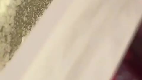 Vibes ant sacrifices another ant off counter