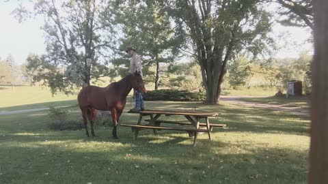 JJ - pick up rider from raised mounting platform - 2nd session - 21 Sept 2022