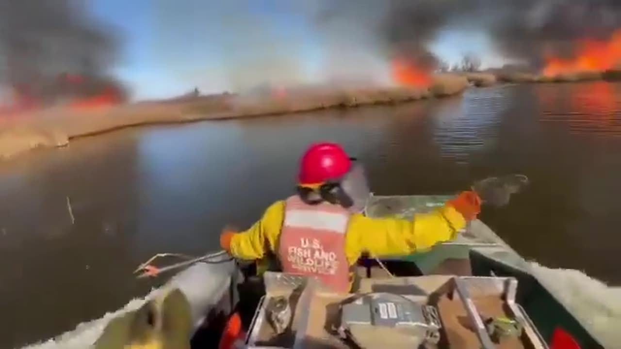 Deliberate burning...