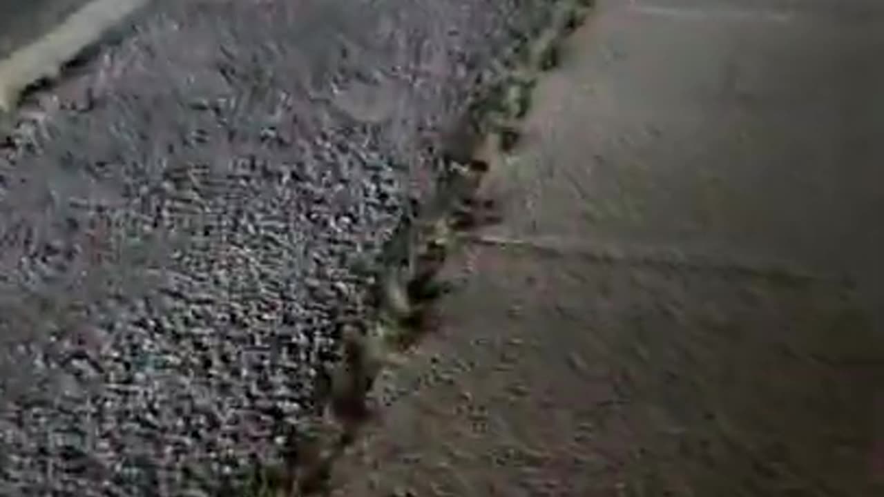 Police Activity (September 2020)