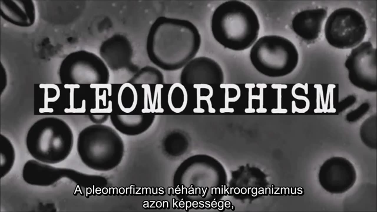 Mi a pleomorfizmus? - What is pleomorphism?