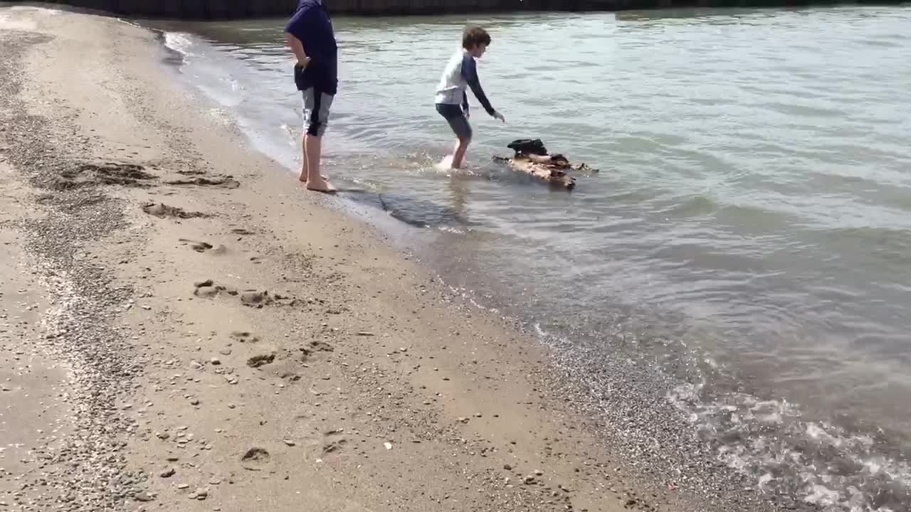 Success the log is a float!