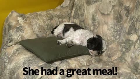 After A Tasty Meal