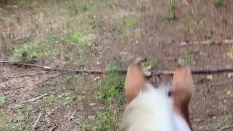 Horseback riding up and down the trails under the power lines