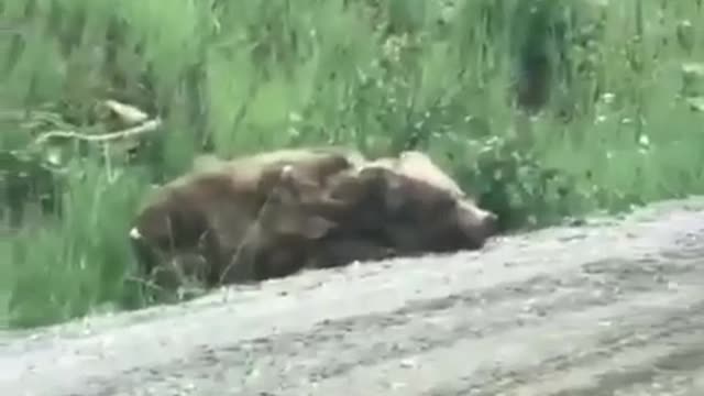 Watch Till The End.. Dont Miss The Twist😱😱😱