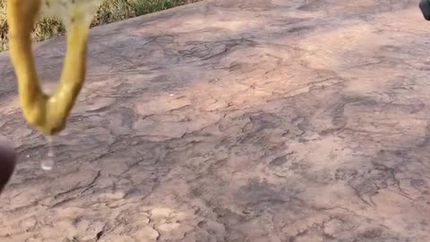 What is this?