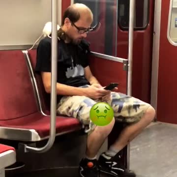 Man has a white hamster rat on his shoulder