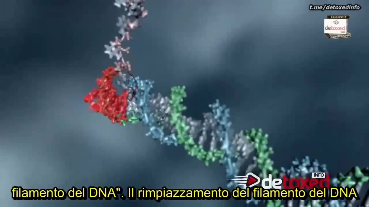 Bill Gates non ha mai cambiato lavoro... DNA programmabile come un software