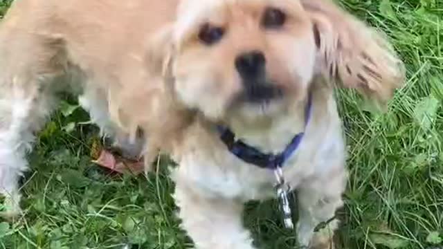 Shouldn't it be fun to go out and play? why are you so cruel