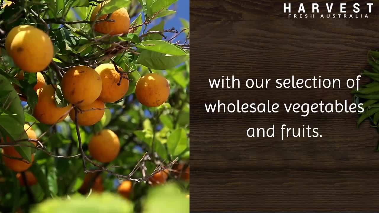 Wholesale Fruit And Veg Suppliers Sydney|harvestfresh.com.au|call us -(02) 9746 6503