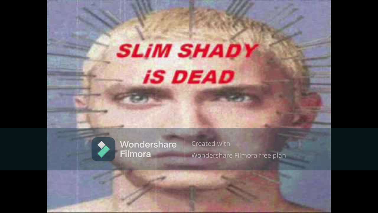 who killed slim shady