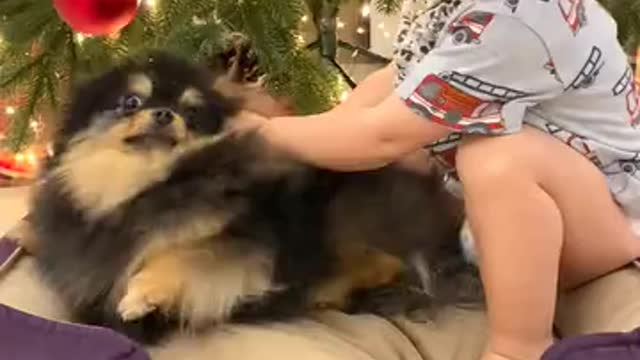 Funny baby playing with cute puppy.