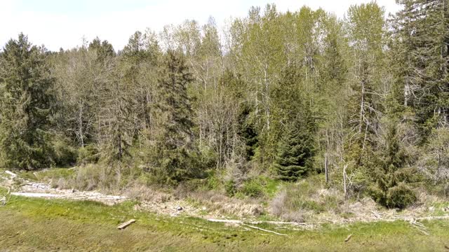 1940 E North Bay Rd, Allyn, WA 98528