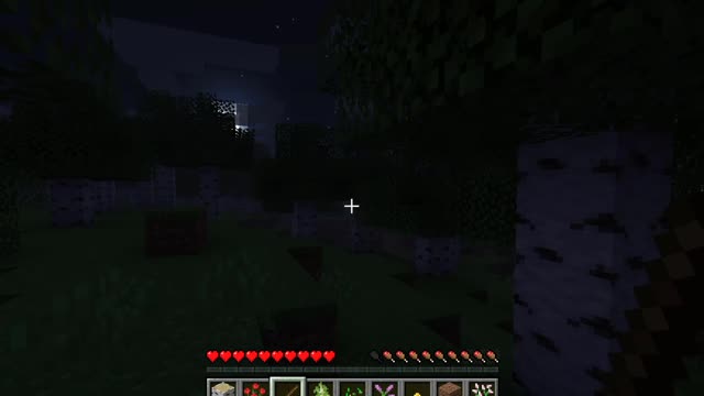 Minecraft 1-1.16.5 A new beginning_4