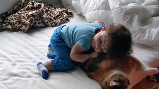 baby and cat love each other