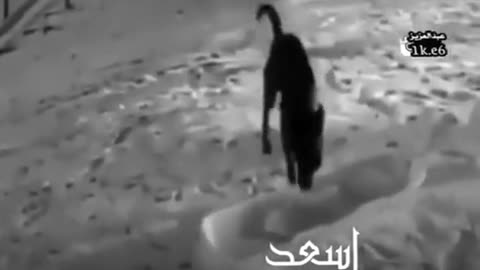 اسعد نفسك بنفسك